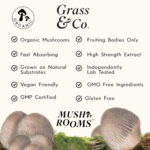 Grass & Co Lion's Mane Mushrooms - Image 3