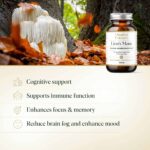 Lion's Mane Organic Mushrooms Extract - Image 3